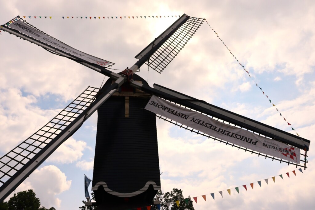 53746428510_cdb06f0a91_o